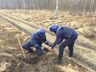 Мінного поля біля Малого Жолудська більше нема