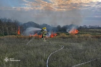 На Поліссі знову була пожежа