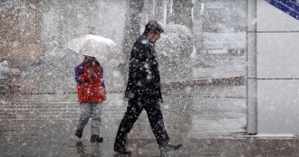 На Рівненщині після снігу почався крижаний дощ