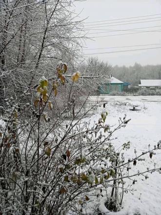 На Сумщині випав перший сніг, а коли на Рівненщині?