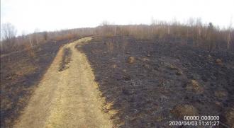 На Володимиреччині затримали на гарячому палія трави