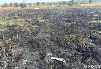 Пенсіонерка з Рівненщини загинула у вогні, коли палила суху траву