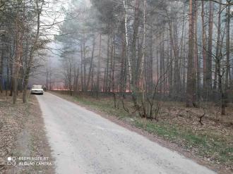 Підпал на водосховищі АЕС переріс у лісову пожежу