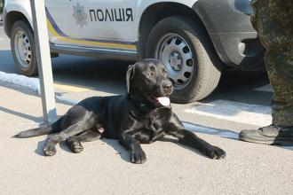 Піротехніків викликали двічі