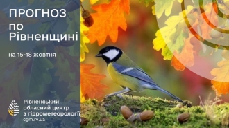 По ночах на Рівненщині відтепер - сильні заморозки