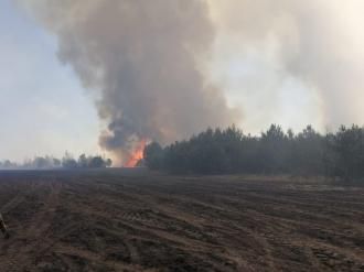 Поблизу Берестовця горів «Селянський ліс»