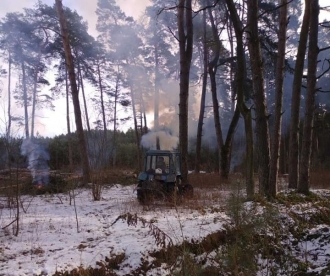 Показали відео вирубки лісу в Козлині, куди рівняни їздять на пікнік (ВІДЕО)