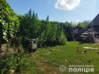 Поліцейські знищили посів конопель у Володимирці та вилучили мак на Дубенщині