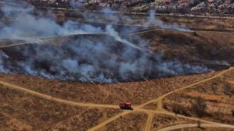 Поля горять: рятувальники показали обпеченого їжачка (ВІДЕО)