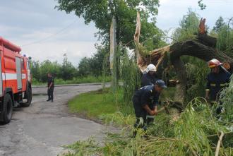 Попросили звільнити дороги від дерев