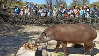 Рівненський зоопарк запрошує на роботу