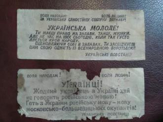 Стало відомо, кому належали архіви УПА, знайдені у лісах Дубенщини