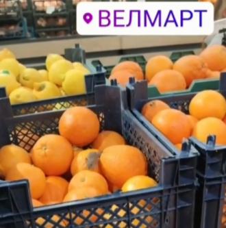 У рівненському «Велмарті» по апельсинах бігає миша (ВІДЕО)