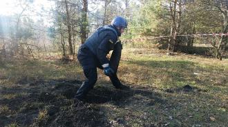 У Сарненському районі знищили артснаряд часів Другої світової війни (ВІДЕО)