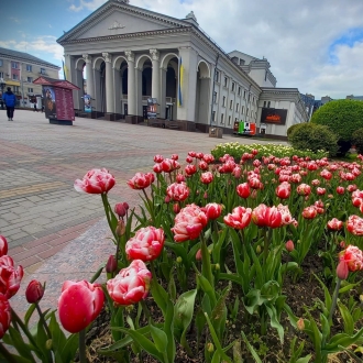 У театрі покажуть рівнянам «Холодну м'яту» і підуть на канікули