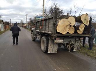 Зупинили вантажівку з дубами та затримали лісоруба