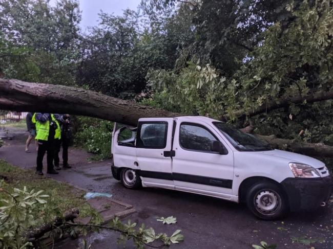 180 повалених дерев, 5 пошкоджених авто: назвали збитки, яких завдала негода (ФОТО)