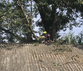 Через негоду на Рівненщині дерево пошкодило дах клубу (ФОТО)