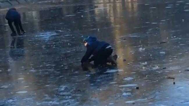 Діти у Рівному використовують замерзле лебедине озеро, як каток (ВІДЕО)