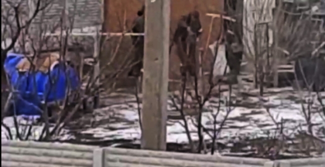 «Друга армія світу» краде в українських селян курей