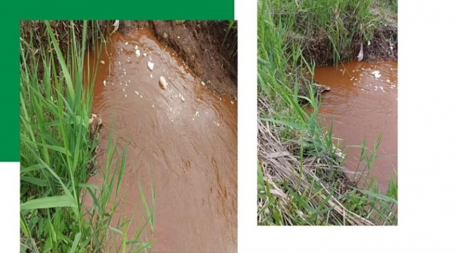 Екологи перевіряють, що тече з несанкціонованої труби в річку Устя (ВІДЕО)