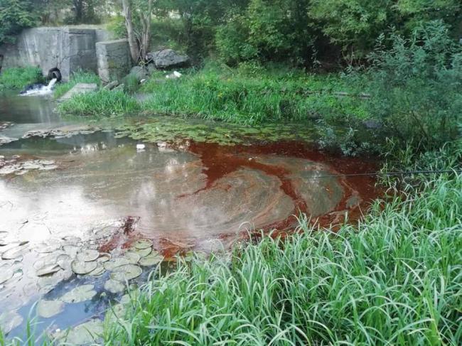 Екологи повідомили, хто забруднив річку Замчисько у місті Костополі
