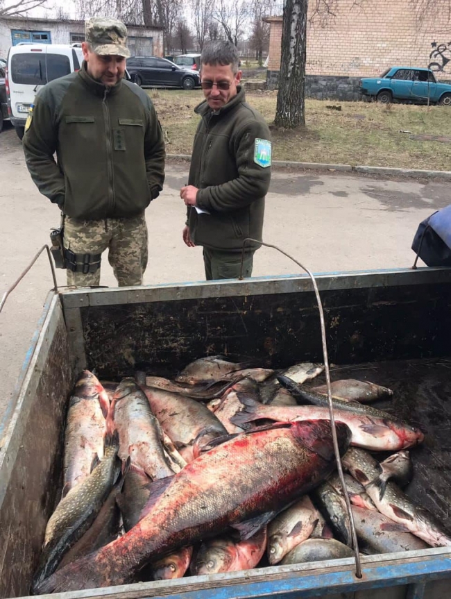Екологи зловили на Житомирщині браконьєрів і відібрали рибу