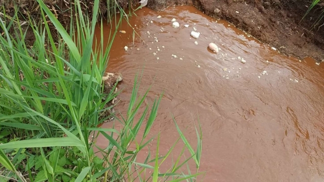Головний інженер водоканалу про забруднення Басового Кута: «Це чиста вода, а не стічні води»