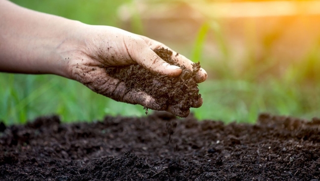 Как определить плодородие почвы и повысить урожай?
