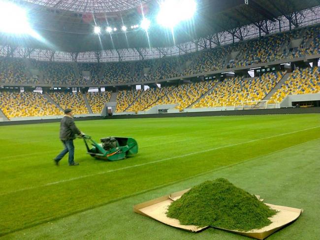 На Авангарді буде газон як на стадіоні «Арена Львів»