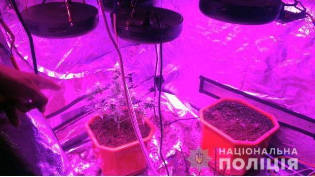 Корчанин за спеціальними технологіями вирощував у власній хаті марихуану