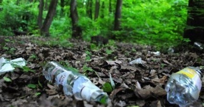 Люди завалюють ліси Рівненщини сміттям