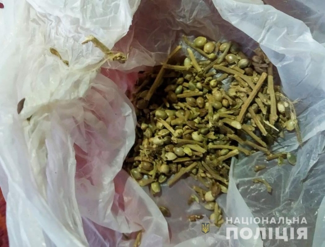 Майже кілограм марихуани вилучили поліцейські у селянина з Кореччини