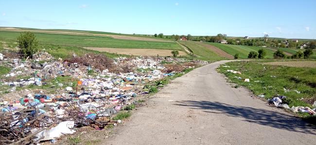 Майже сотню незаконних сміттєзвалищ виявили на Рівненщині