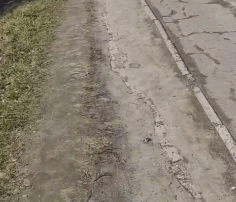 Мешканці «Шоколаду» просять зробити тротуар для мам із візочками
