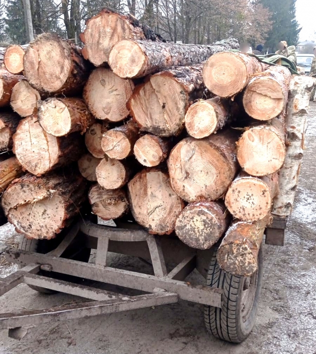 На блокпосту на півночі Рівненщини зупинили вантажівки з незаконною деревиною