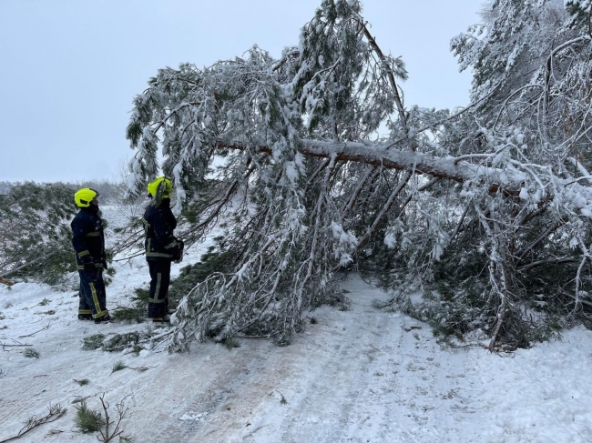 На Дубенщині дерево перекрило дорогу між двома селами