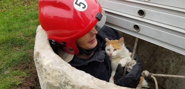 На Дубенщині рятувальник ризикував життям, щоб врятувати кота (ФОТО)