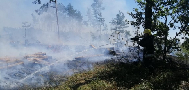 На Костопільщині горіли чагарники, вогонь міг перекинутись на ліс