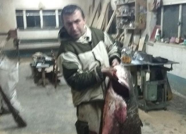 На Рівненщині чоловік підстрелив сома-гіганта (ФОТО)