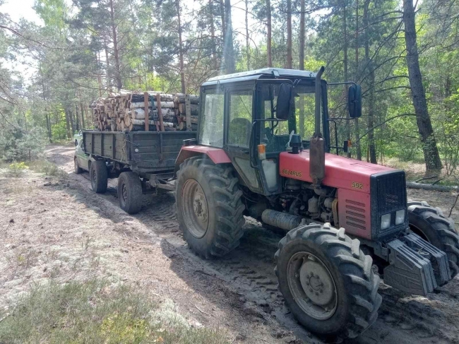 На Рівненщині лісівники затримали водія, який незаконно вивозив деревину