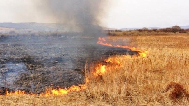  На Рівненщині масово випалюють залишки жнив на полях