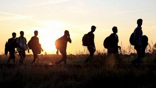 На Рівненщині нелегальних мігрантів оштрафували більш ніж на 100 тисяч гривень