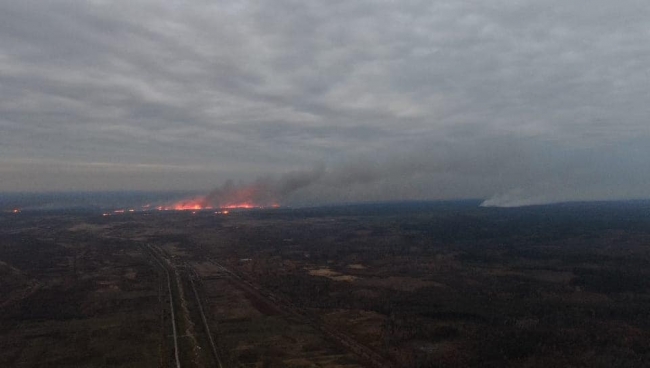На Рівненщині неподалік україно-білоруського кордону - чимала пожежа (ВІДЕО)