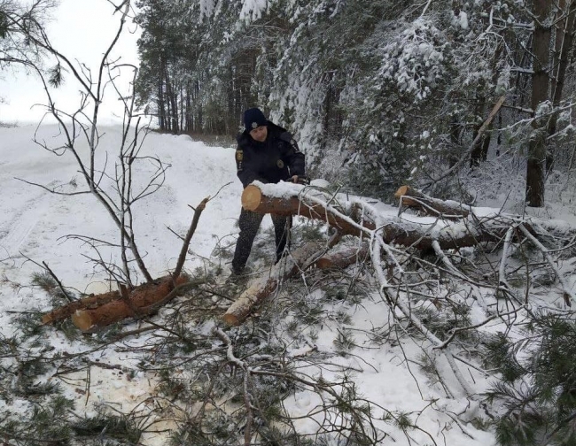 На Рівненщині поліцейські розчищали дороги від повалених дерев