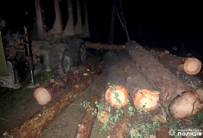 Житель Рівненщини намагався непомітно вирубати дерева в лісі
