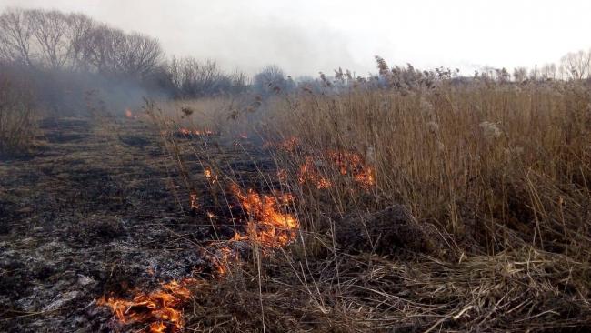На Рівненщині продовжують спалювати суху траву