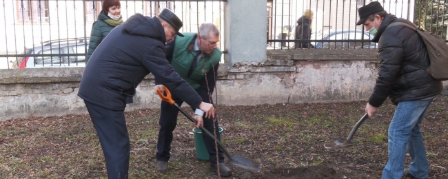 На Рівненщині висадили груші з подвір`я Лесі Українки