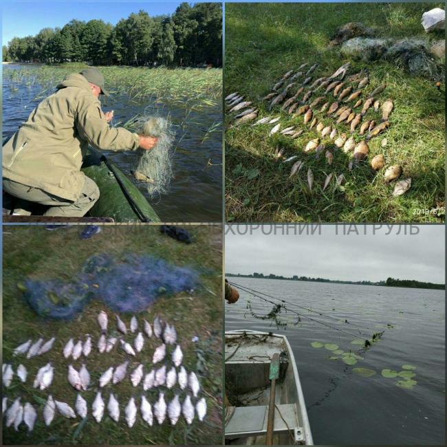 На Рівненщині за тиждень браконьєри «нарибалили»  на понад десять тисяч гривень