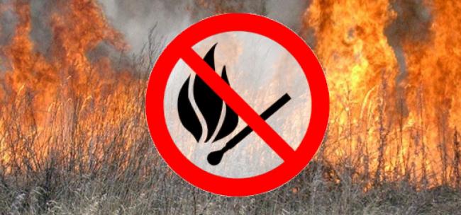 На Рівненщині заборонили спалювати сухостій